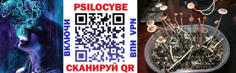 Псилоцибиновые грибы мицелий  omg маркетплейс  Лянтор 